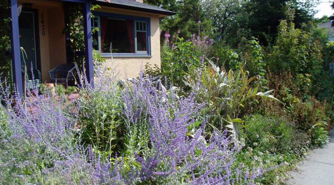 Haultain Common – sharing common ground with common folk