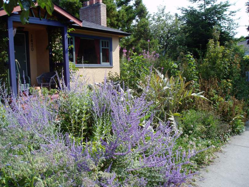 Haultain Common garden Victoria BC