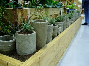 NWFGS - pipe planter NWFGS - pipe planter