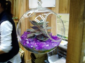 NWFGS - glass ball planter NWFGS - glass ball planter
