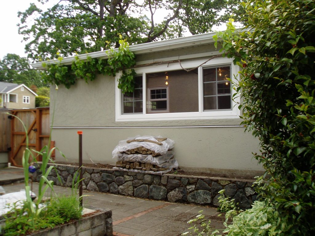 grape vine spring 2011