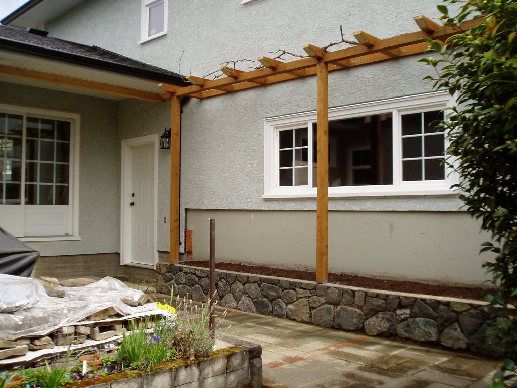 re-positioning the grapevine