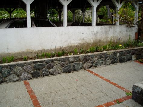 the car port (grape far right)