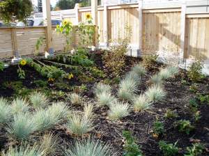 the spot for the future kitchen garden the spot for the future kitchen garden