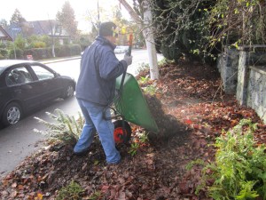 mulching the boulevard