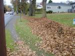 leaf pile along Richmond Rd, garden Victoria, BC leaf pick up