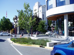 the Atrium rain gardens - parking & street drains into ditch the Atrium rain gardens - parking & street drains into ditch