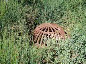 the Atrium rain gardens - ditch grate the Atrium rain gardens - ditch grate