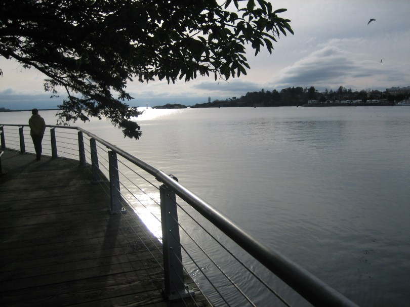 Songhees Walkway 9 Victoria, Vancouver Island, BC, Pacific Northwest