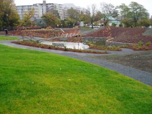 rolling hills & wandering trails circle the rain garden