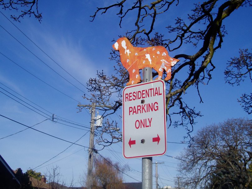 Clare Street pet crossing 3, public art, Victoria, Vancouver Island, BC, Pacific Northwest