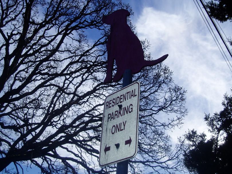 Clare Street pet crossing 1, public art, Victoria, Vancouver Island, BC, Pacific Northwest