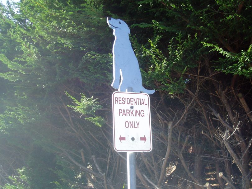 Clare Street pet crossing 5, public art, Victoria, Vancouver Island, BC, Pacific Northwest
