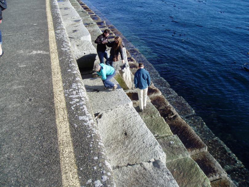 Ogden Point lower steps, Victoria, Vancouver Island, BC, Pacific Northwest