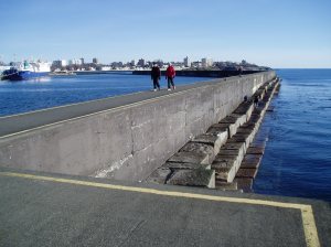 Ogden Point  looking back from the Lighthouse