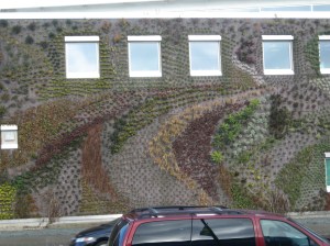 outdoor plant wall at the Surrey Library 2