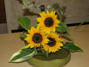 mossy branch curls around triangle