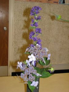 tall / narrow triangle