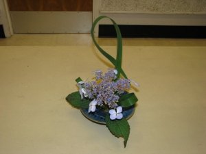 a leaf twits back & thru itself