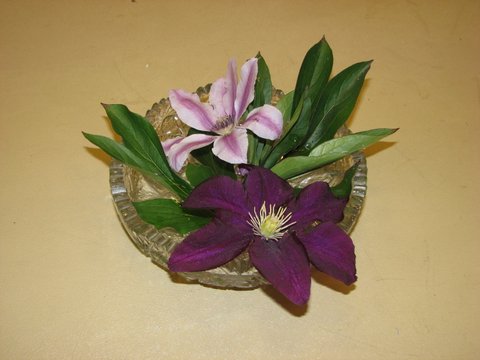 The Art of Arrangement