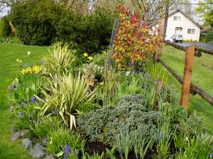 full sun garden in early april