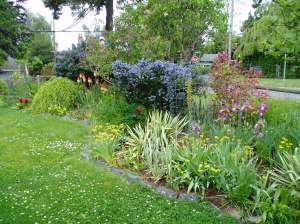 full sun garden in early June
