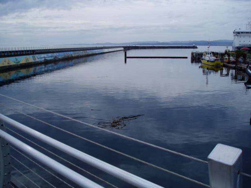 Ogden Point handrails