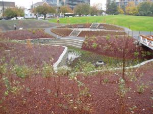 Fisherman's Wharf rain garden fall 2012 WS1