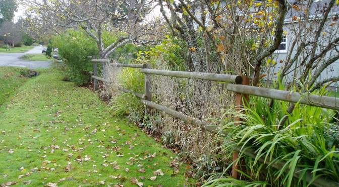 Garden Chores For Birds