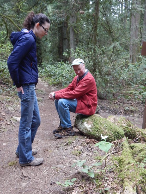 western trillium patch, Trillium Ovatum, garden Victoria, Vancouver Island, BC, Pacific Northwest