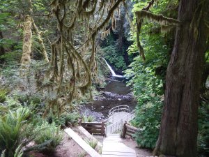 garden Victoria, Vancouver Island, BC, Pacific Northwest