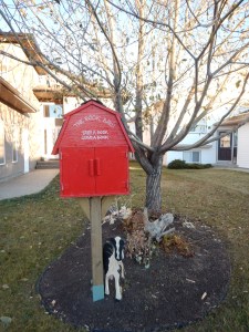 street library, Grande Prairie Alberta