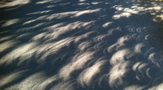 Solar Eclipse in the Garden