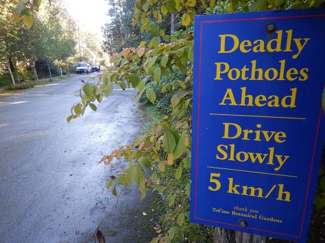 Tofino potholes Tofino Botanical Gardens garden Victoria, Vancouver Island, BC, Pacific Northwest