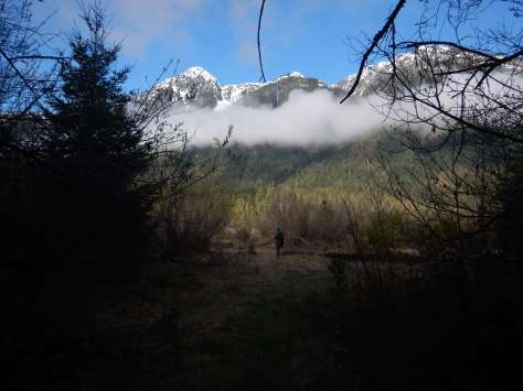 Strathcona Park, BC, Ralph River Campground, garden Vancouver Island Island Victoria BC Pacific Northwest