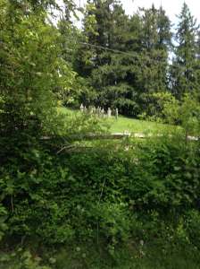 statue art Victoria, Vancouver Island, BC, Pacific Northwest Victoria, Vancouver Island, BC, Pacific Northwest