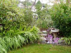 birdbath bed 2013 09