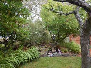 birdbath bed 2019 09