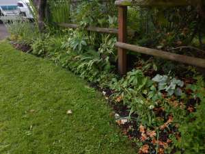 garden Victoria, Vancouver Island, BC Pacific Northwest