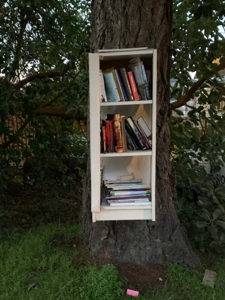 street library, book sharing, book exchange, public art, free little library, take a book, public art, Victoria, Vancouver Island, BC, Pacific Northwest